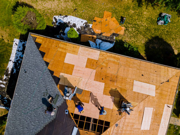 Best Roof Repair Services  in Frazee, MN