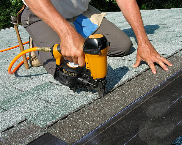 Best Local Roofing Companies  in Frazee, MN