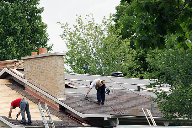 Best Storm Damage Roof Repair  in Frazee, MN