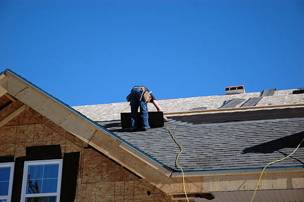 Best Flat Roof Repair Services  in Frazee, MN