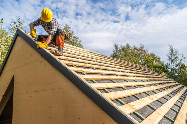 Best Best Roofing Contractors  in Frazee, MN