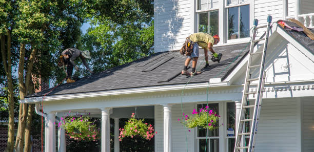 Best Roof Leak Repair  in Frazee, MN