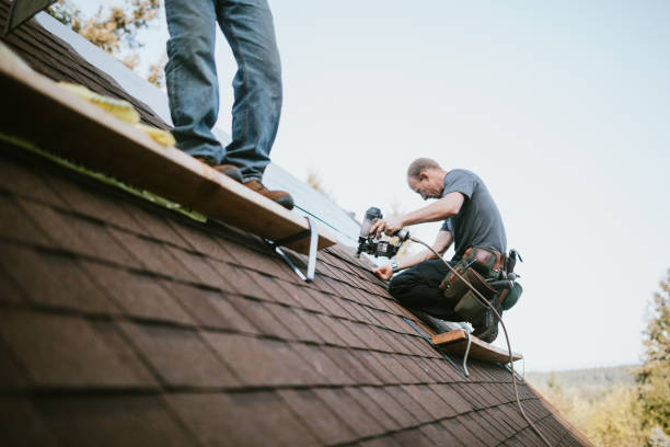 Trusted Frazee, MN Roofing Contractor Experts