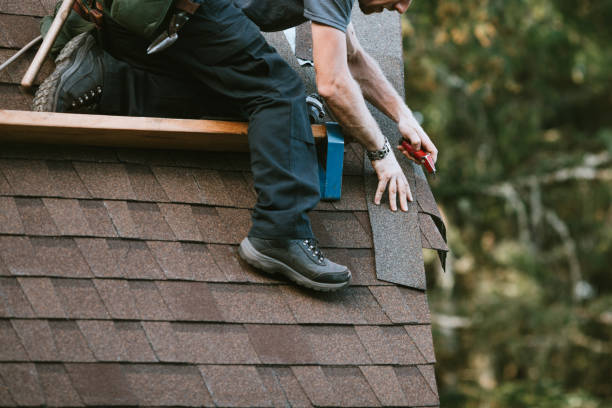 Best Storm Damage Roof Repair  in Frazee, MN