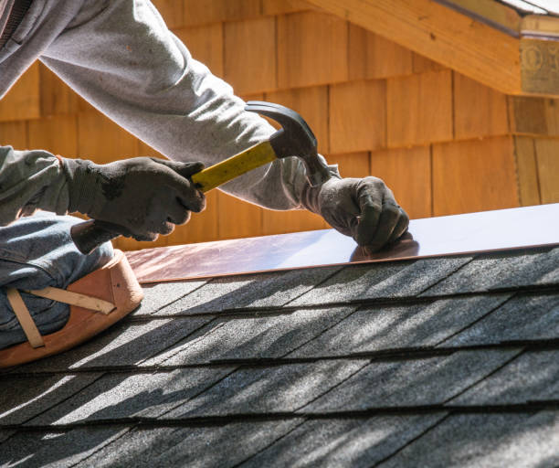 Best Roof Waterproofing Services  in Frazee, MN